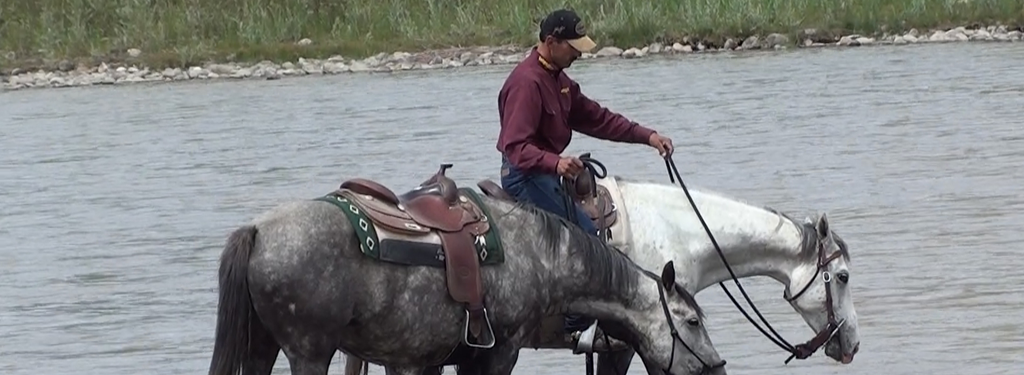 Brian Thomas training horses to ford the river
